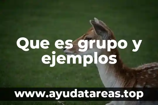 Que es la pulsion de muerte ejemplos 5 Que es grupo y ejemplos