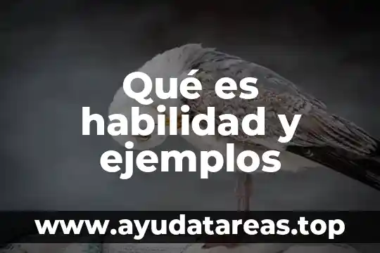 Qué es significa comunicación ejemplos 4 Qué es habilidad y ejemplos
