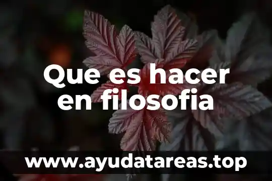 Que es hacer en filosofia