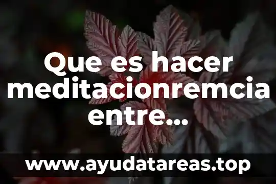 Que es lo que pide la aduana al importar 8 Que es hacer meditacionremcia entre vegetariana y vegana