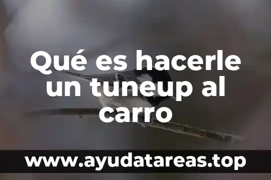 Volte tigo que es 8 Qué es hacerle un tuneup al carro