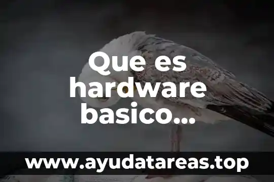 Que es hardware basico ejemplos