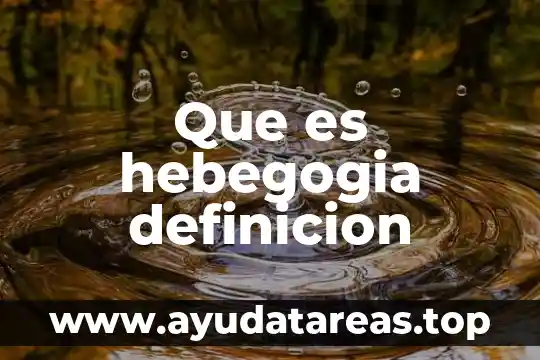 Que es la definicion del tema en una tesis 3 Que es hebegogia definicion