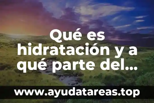 Que es la antera parte de la flor 8 Qué es hidratación y a qué parte del cuerpo afecta