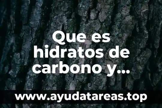 Que es hidratos de carbono y ejemplos