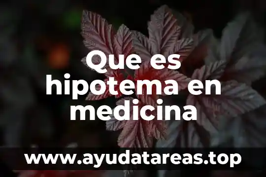 Que es preludio en medicina 5 Que es hipotema en medicina