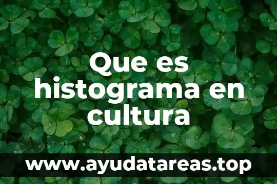 Que es histograma en cultura
