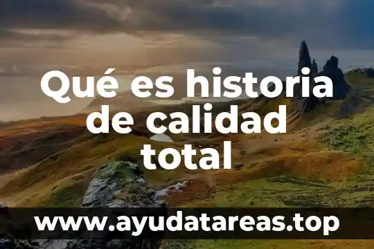 Que es el cloro total en el agua 8 Qué es historia de calidad total