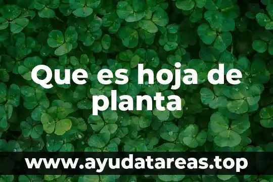 Que es una hoja de seguridad de un reactivo quimico 3 Que es hoja de planta