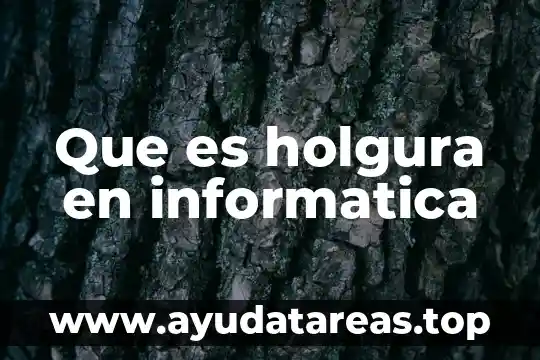 Virus físico en informática que es 3 Que es holgura en informatica