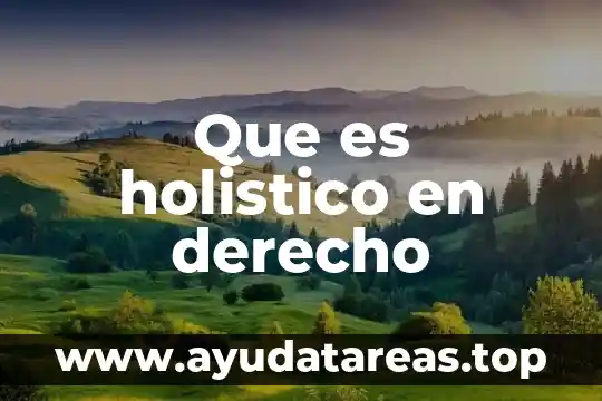 Que es holistico en derecho