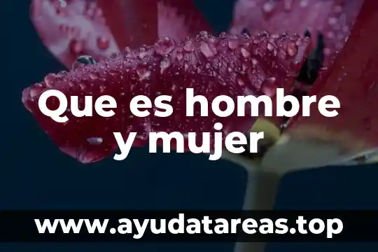 Qué es el hombre en base a la filosofía 4 Que es hombre y mujer