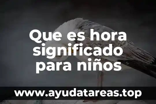 Que es el significado de bosque cordillera 5 Que es hora significado para niños