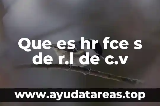 Servicios administrados mexis sa de cv que es 6 Que es hr fce s de r.l de c.v