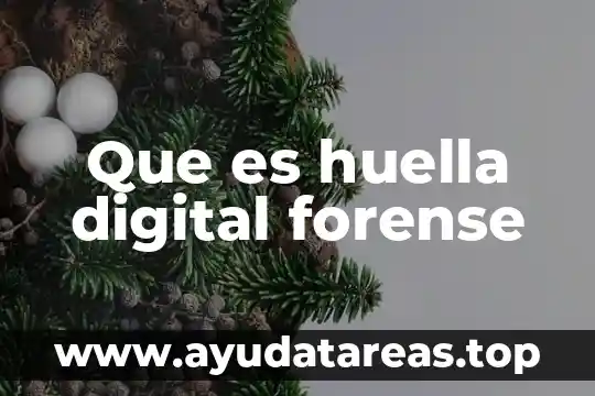 Que es huella digital forense