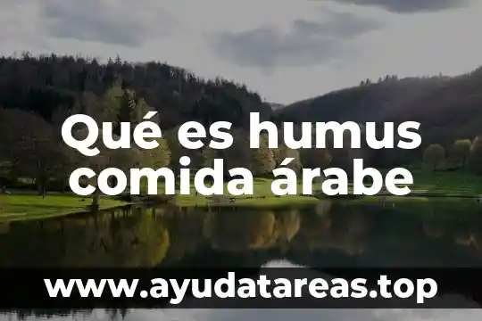 Qué es humus comida árabe