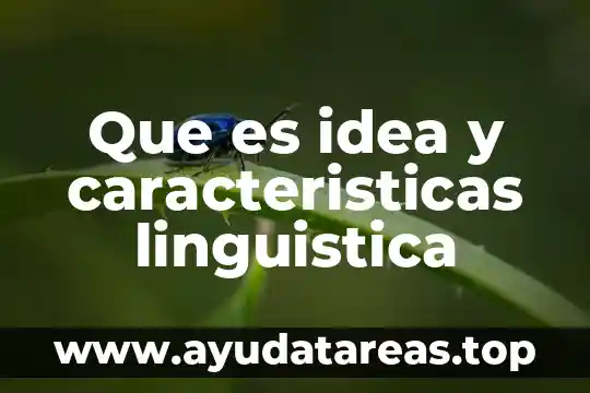 Que es una variante linguistica general 6 Que es idea y caracteristicas linguistica