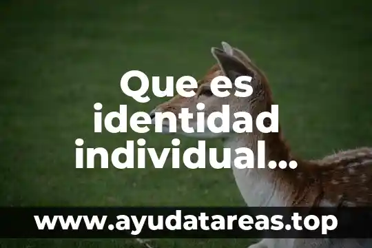 Que es identidad individual grupal y social