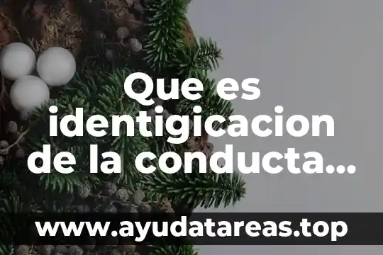 Que es identigicacion de la conducta humana