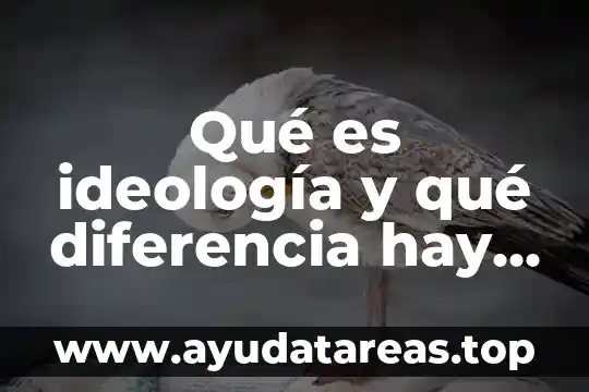 Que es la isomeria y los tipos que hay 7 Qué es ideología y qué diferencia hay de la ciencia
