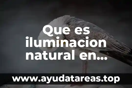 Que es iluminacion natural en arquitectura