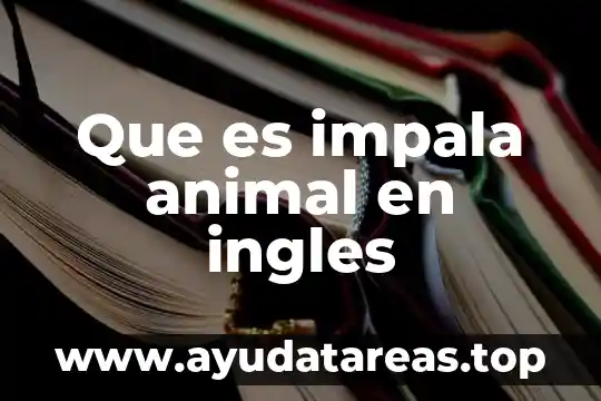 Que es yelmo animal 7 Que es impala animal en ingles