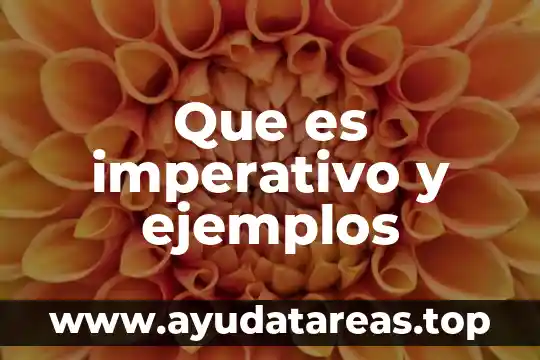 Que es imperativo y ejemplos