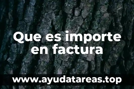 Que es importe en factura