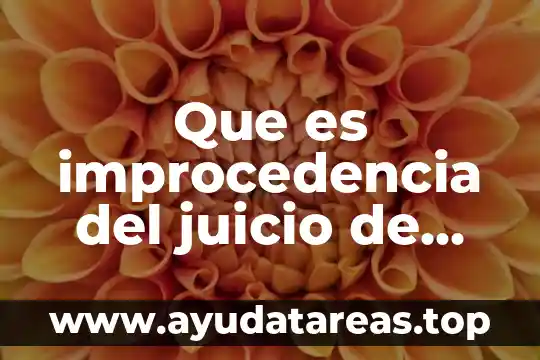 En lógica que es un juicio 7 Que es improcedencia del juicio de nulidad en materia administrativa