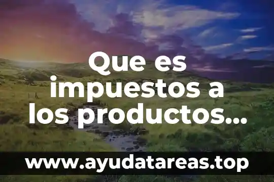 Que es impuestos a los productos netos