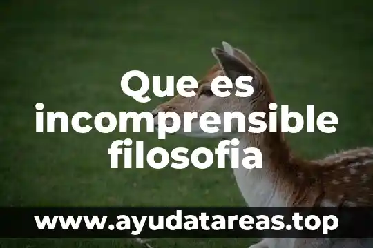 Qué es un falansterio en filosofía 6 Que es incomprensible filosofia