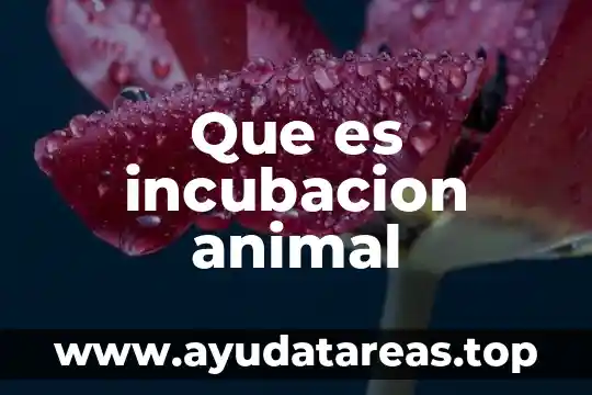Qué es un animal endémico 7 Que es incubacion animal