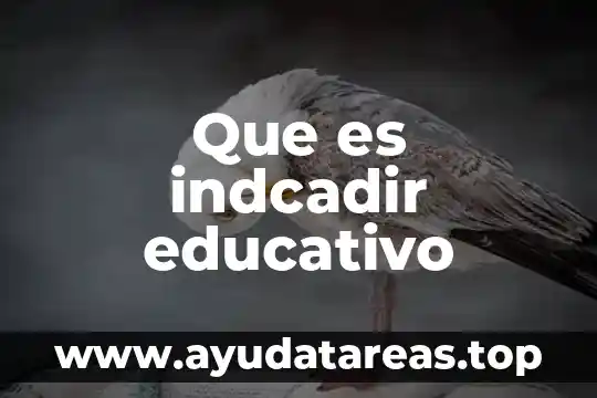 Que es vldl en un analisis de sangre 8 Que es indcadir educativo