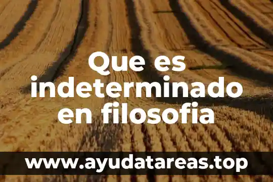 Que es indeterminado en filosofia
