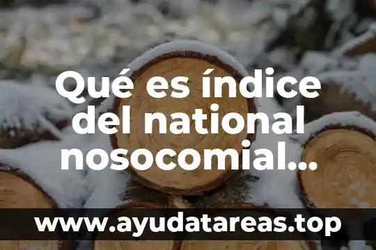 Qué es índice del national nosocomial infections surveillance system