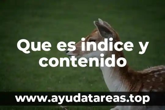 Que es indice y contenido