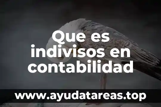 Que es un interes contabilidad 7 Que es indivisos en contabilidad