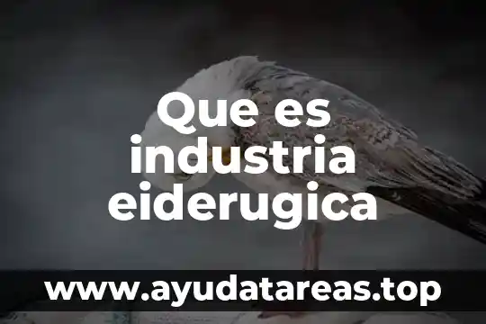 Que es industria eiderugica