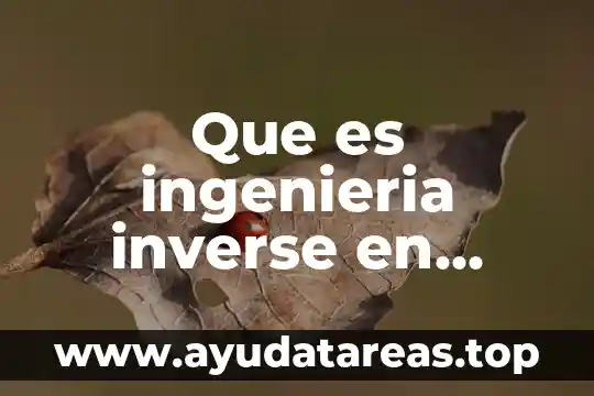 Que es el ciclo del agua y sus bases 6 Que es ingenieria inverse en bases de datos