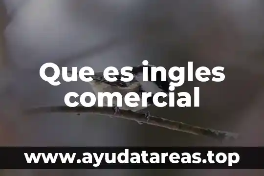 Que es erases en ingles 5 Que es ingles comercial
