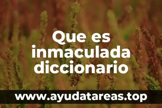 Que es inmaculada diccionario