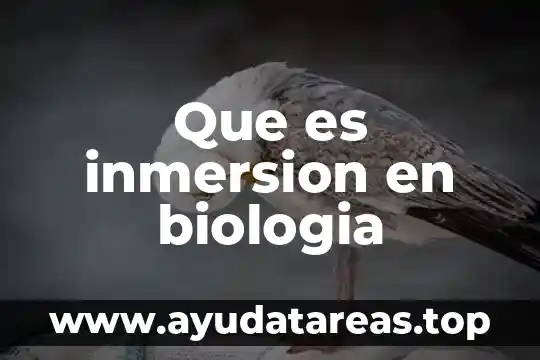 Que es inmersion en biologia