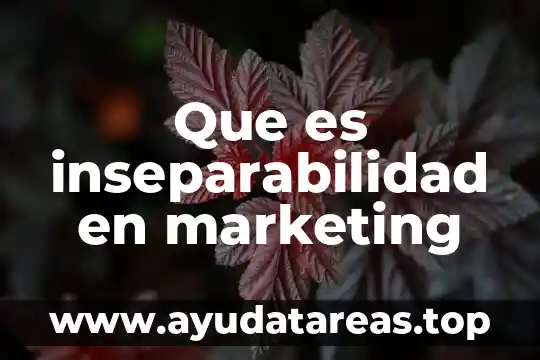 Que es dash marketing 8 Que es inseparabilidad en marketing