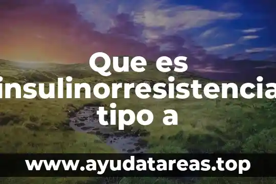 Que es un tipo de texto apelativo 5 Que es insulinorresistencia tipo a