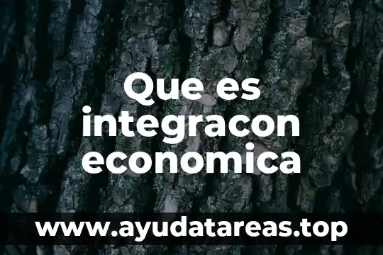 Que es representación economica 3 Que es integracon economica