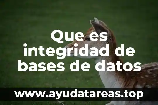 Que significa datos o que es 6 Que es integridad de bases de datos