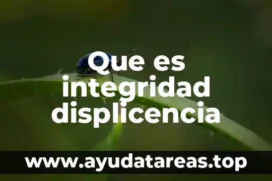 Qué es principio de integridad 3 Que es integridad displicencia