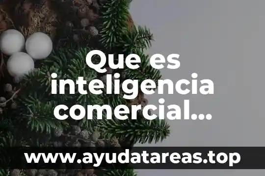 Ac2 ac3 que es en comercio internacional 3 Que es inteligencia comercial internacional