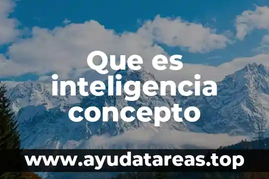 Que es inteligencia concepto
