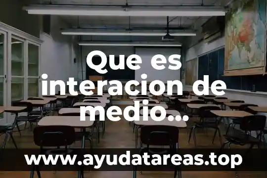 Que es interacion de medio ambiente